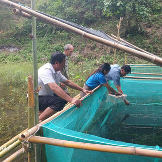<a href="/tin-tuc-su-kien/thong-tin-kinh-te" title="Thông tin kinh tế" rel="dofollow">Kinh tế - Chính trị</a>