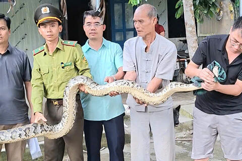 Bum Nưa thả cá thể Trăn đất về môi trường tự nhiên